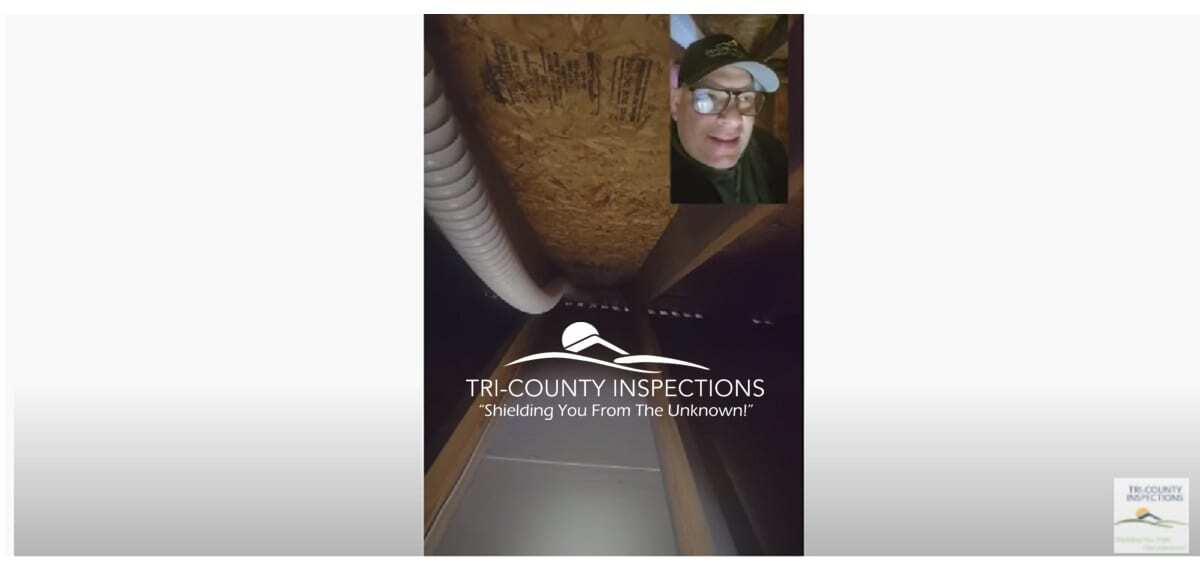 reason to get a home inspection - find mold