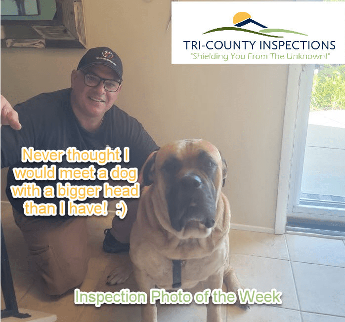 Cleveland Home Inspector - Mike Vakos