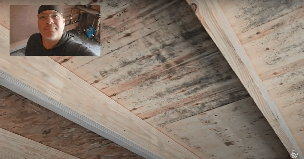 Cleveland Mold Inspector